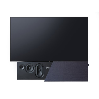 CANVAS 55" 2