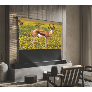 Seemax ALR UST Motorized Floor up screen 2