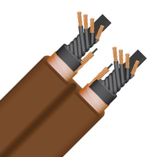 Wireworld Electra™ 10 (ELP) 2