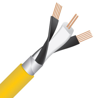 Wireworld Chroma™ 10 (CRV) 2