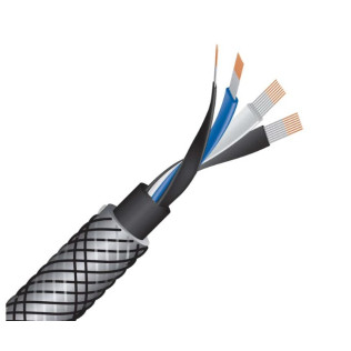 Wireworld Silver Eclipse 10 (SEI) 2