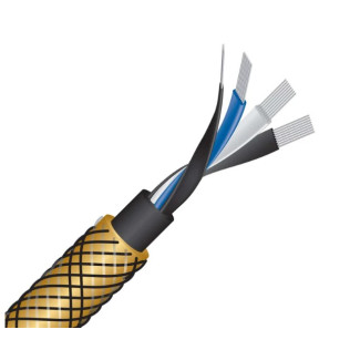 Wireworld Gold Eclipse 10 (GEI) 2