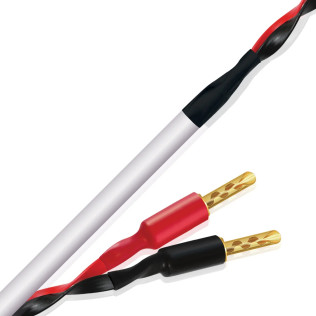 Wireworld Stream™  10 (STS)