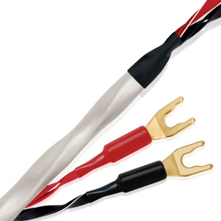 Wireworld Solstice®  10 (SOS)