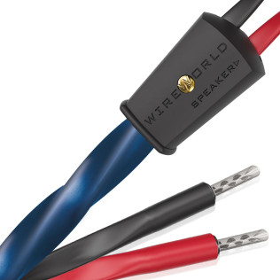 Wireworld Oasis® 10 (OAS)