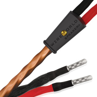 Wireworld Mini-Eclipse™  10 (MES)