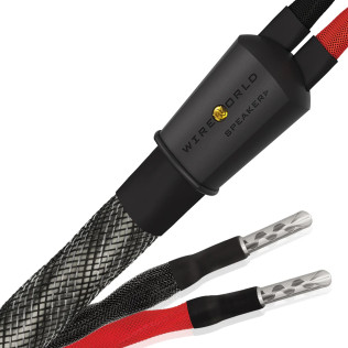 Wireworld Silver Eclipse™  10 (SES)