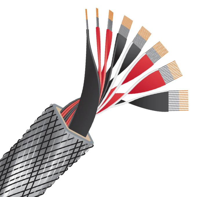 Wireworld Silver Eclipse™  10 (SES)