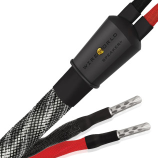 Wireworld Platinum Eclipse™ 10 (PES)