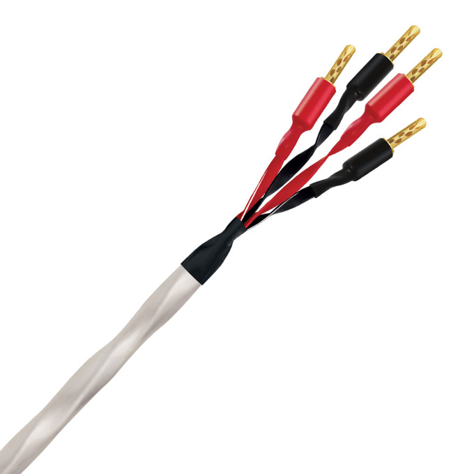 Wireworld Solstice® 10 (SOB)