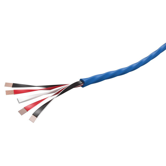 Wireworld Oasis® 10 (OAB)