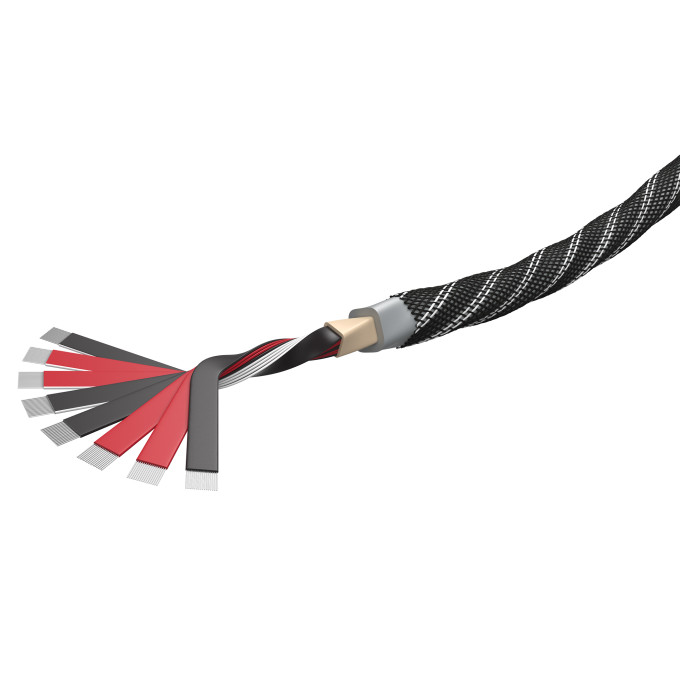 Wireworld Platinum Eclipse™ 10 (PEB)