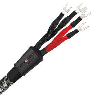Wireworld Platinum Eclipse™ 10 (PEB)