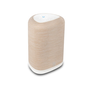 BLUESOUND Pulse Flex (P130)