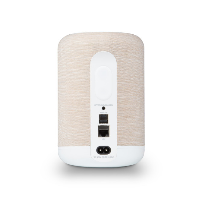 BLUESOUND Pulse Flex (P130)