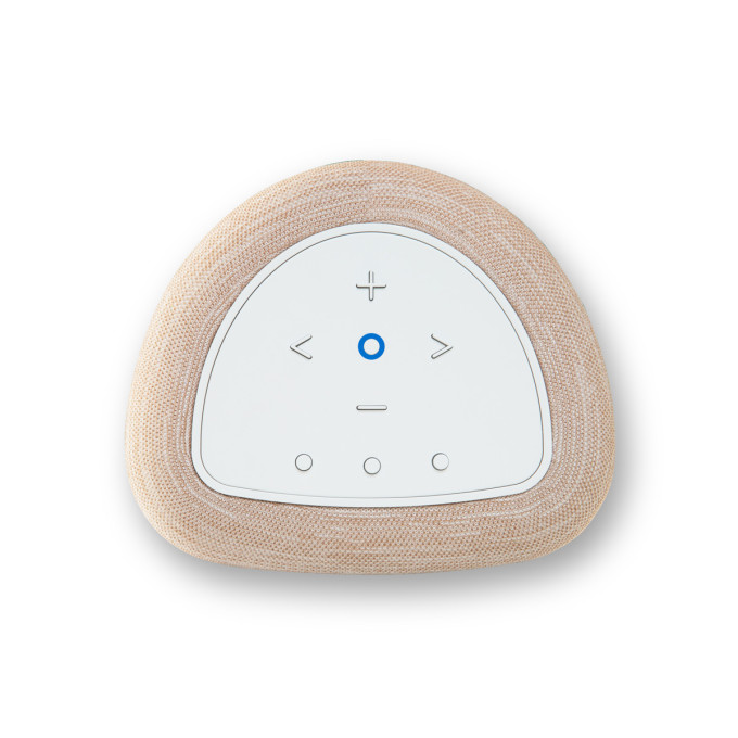 BLUESOUND Pulse Flex (P130)