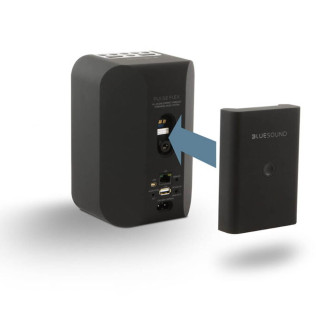 Bluesound BP100 2