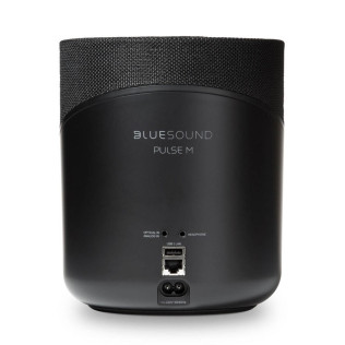 Bluesound Pulse M 2