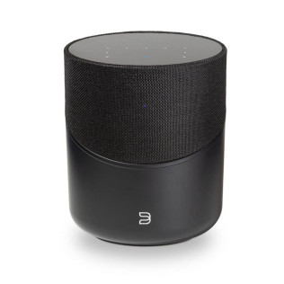 Pack Rithum Swithch + Bluesound Pulse M 2