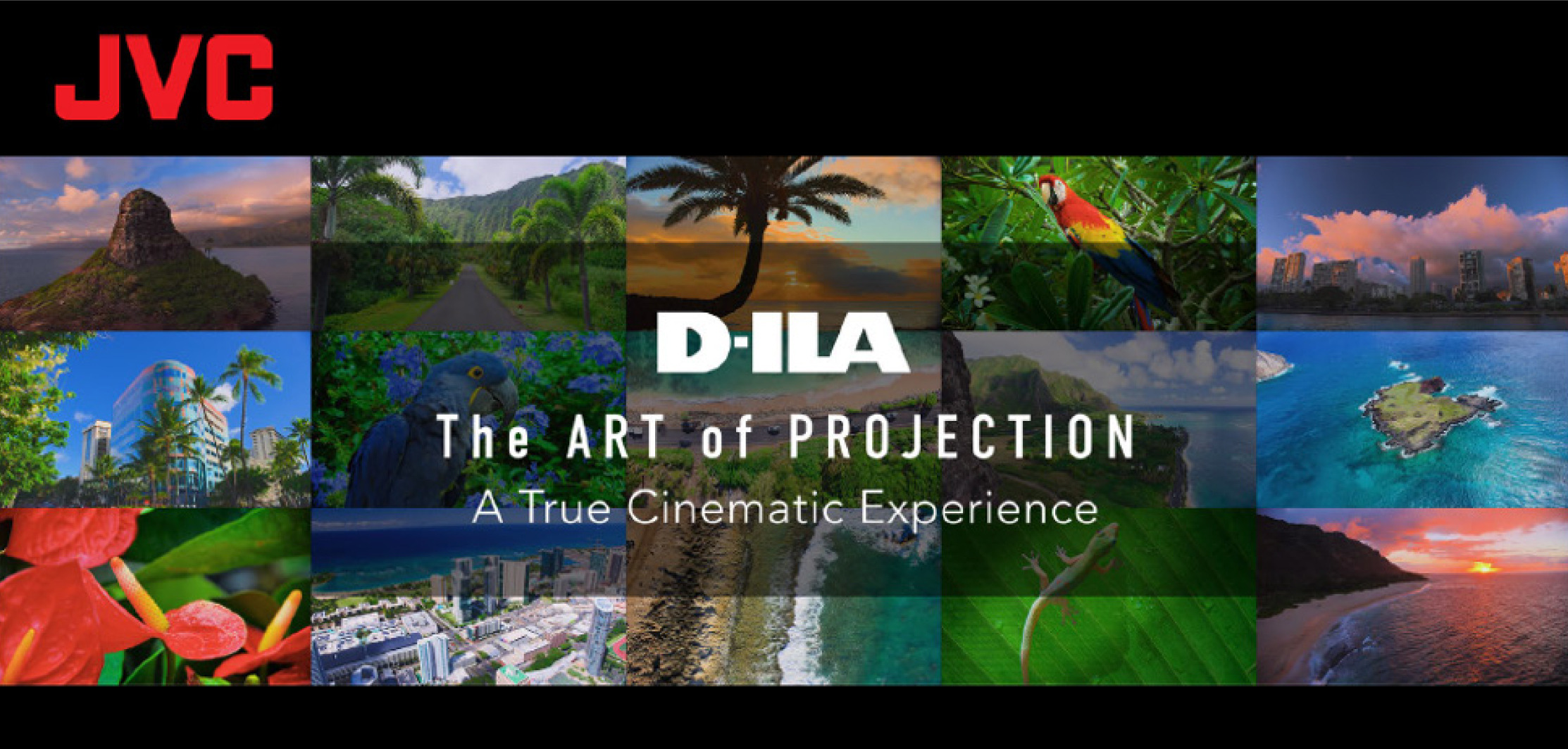 Actualización gratuita de firmware para los proyectores JVC D-ILA DLA-NZ900 y DLA-NZ800